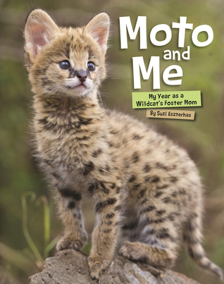 Moto and Me: My Year as a Wildcat's Foster Mom